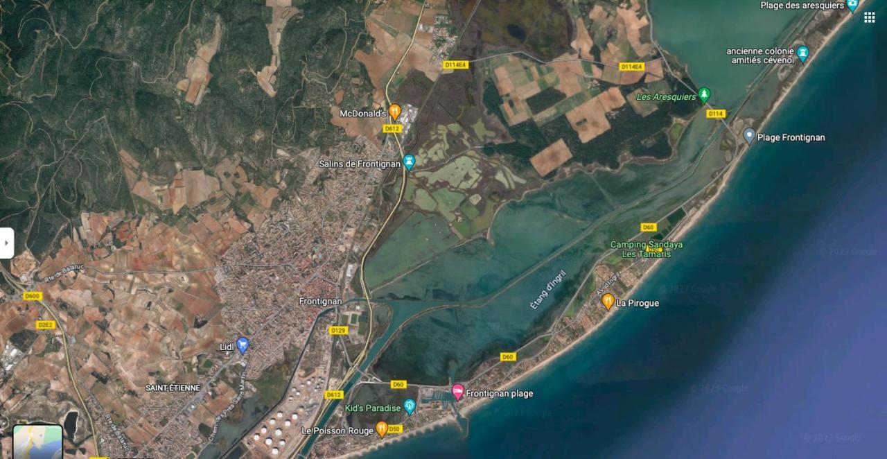 La Perle Bleue, 100 M De La Plage, Parking, Wifi Фронтіньян Екстер'єр фото